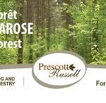 Larose Forest